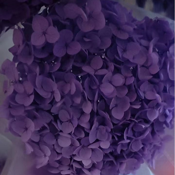 Anna hortenzia szárított virágok – egy darabos csomagolás, márka Qiyang, nem importált, csokorhoz