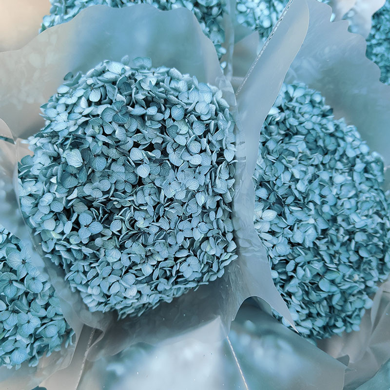 Anna hortenzia szárított virágok – egy darabos csomagolás, márka Qiyang, nem importált, csokorhoz