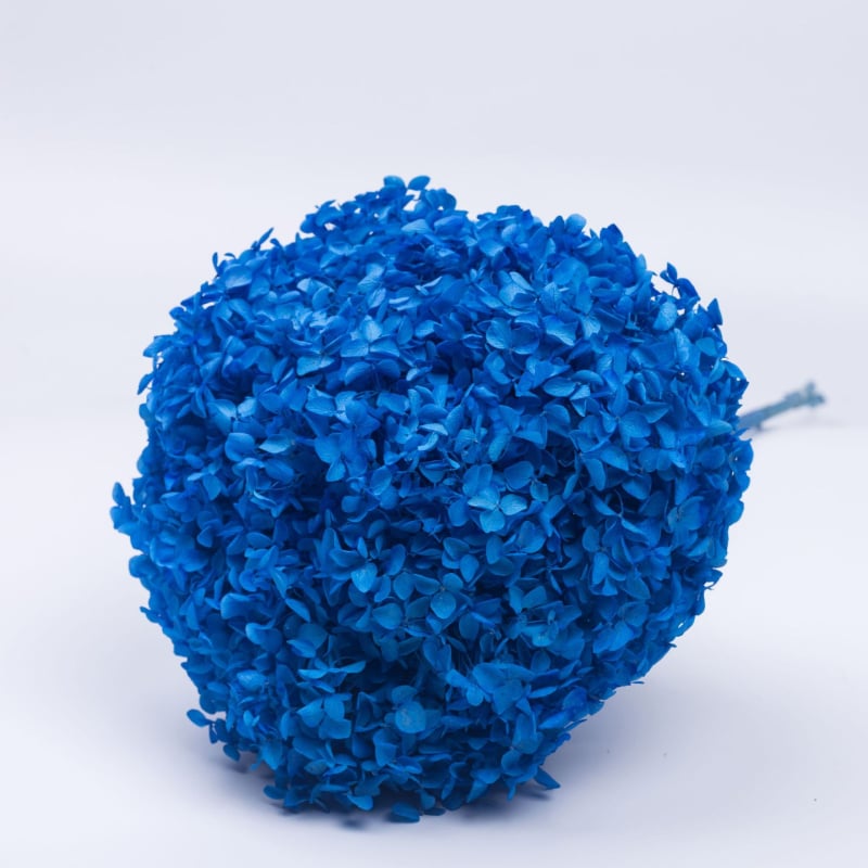 Anna hortenzia szárított virágok – egy darabos csomagolás, márka Qiyang, nem importált, csokorhoz