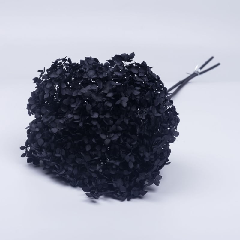 Anna hortenzia szárított virágok – egy darabos csomagolás, márka Qiyang, nem importált, csokorhoz