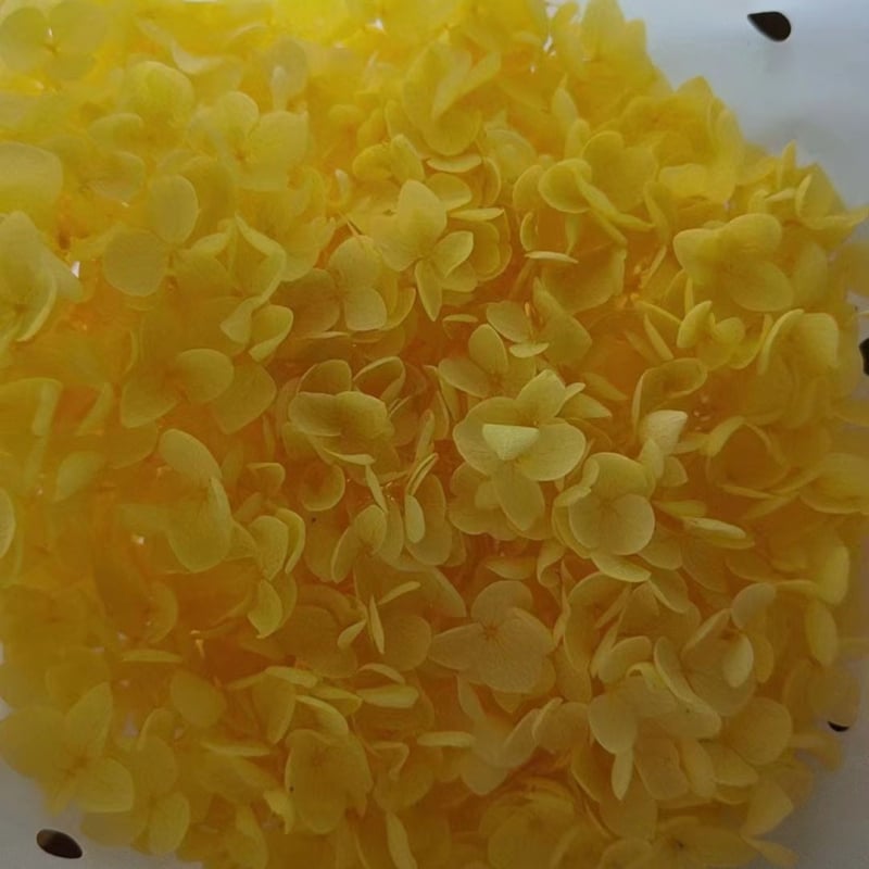 Anna hortenzia szárított virágok – egy darabos csomagolás, márka Qiyang, nem importált, csokorhoz