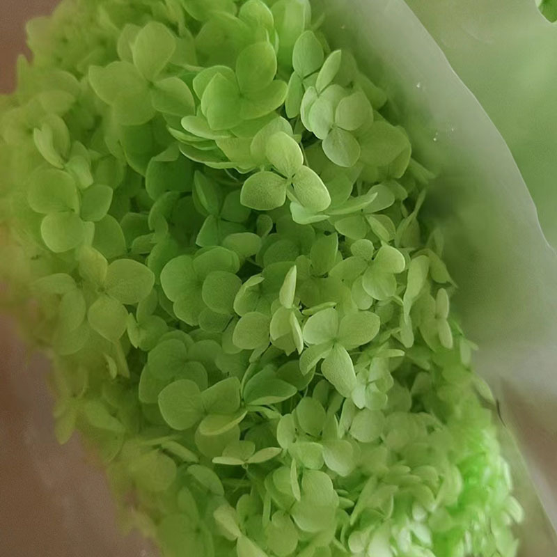 Anna hortenzia szárított virágok – egy darabos csomagolás, márka Qiyang, nem importált, csokorhoz