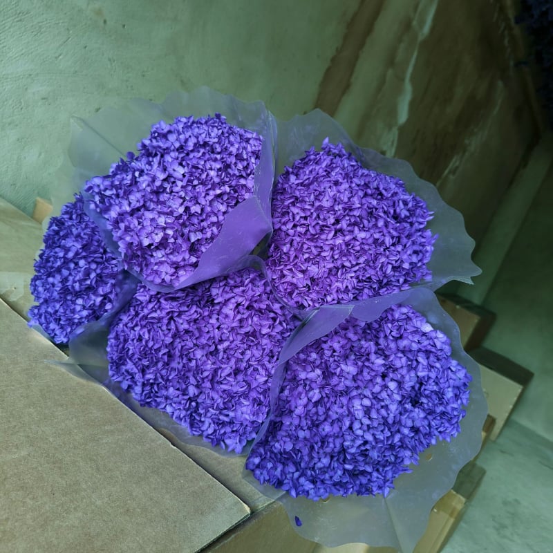 Anna hortenzia szárított virágok – egy darabos csomagolás, márka Qiyang, nem importált, csokorhoz