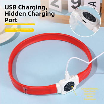 Silikónový LED obojok pre psa s Type-C nabíjaním, nočné svetlo a USB blikanie