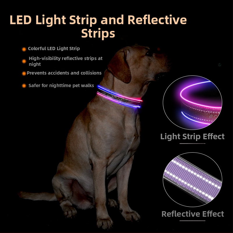 LED obojok pre psa so potlačenou reflexnou páskou, USB nabíjateľný, polyester
