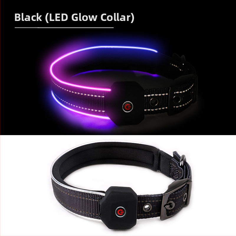 LED obojok pre psa so potlačenou reflexnou páskou, USB nabíjateľný, polyester