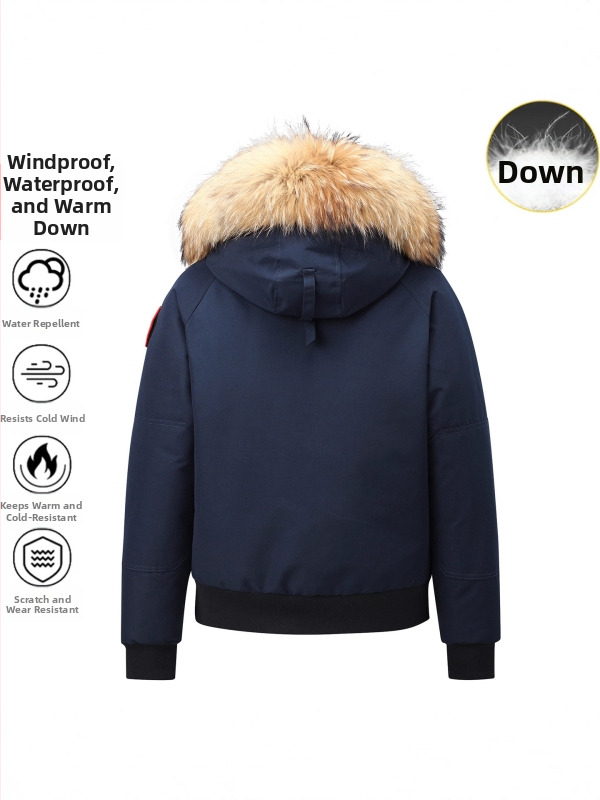 Ekstremaliai šaltam orui lauko striukė su žąsų pūkais, trumpas siluetas su piloto kapucīšu, 300 g pūkų užpildo, 86–90% žąsų pūkų, vėjo ir vandeniui atspari
