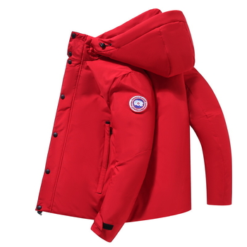 Férfi téli kabát, koreai stílus, cipzár, kapucni, slim fit, poliészter töltet 200 g, bélés acetát