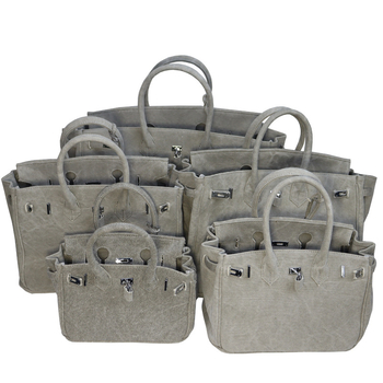 Ženska platnena crossbody tote torba – Platina stil, horizontalni kvadratni oblik, magnetska kopča s poklopcem