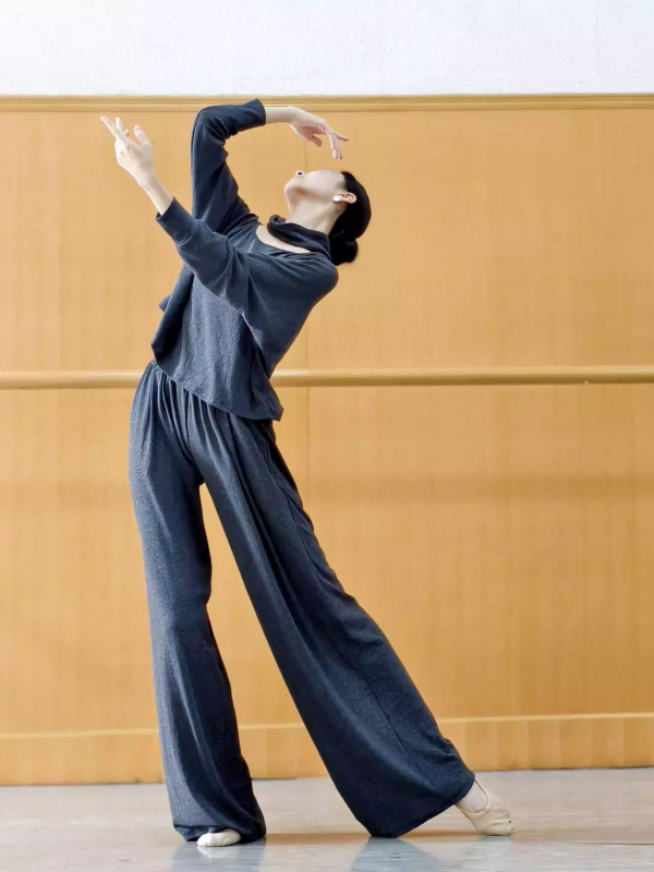 Μοντέρνο γυναικείο ένδυμα για χορό πρακτικής - άνετη εφαρμογή, μακριά μανίκια, βαμβάκι, επένδυση βαμβάκι, μάρκα Chendi, για ενήλικες γυναίκες