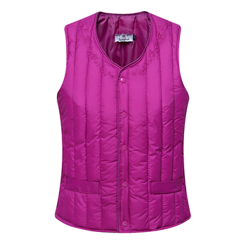 Sieviešu TR auduma veste ar pūka un kokvilnas pildījumu, silta, retro stils, regulāra piegriezne, PVC ≤30%, ar etiķeti