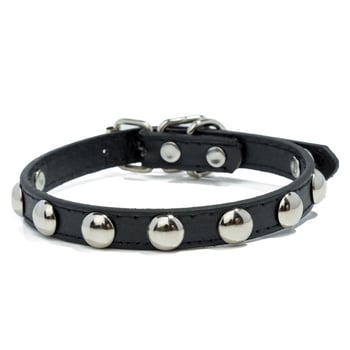 Gomba alakú, narancssárga fűzőlyukakkal kirakott műbőr kisállatnyakörvek közvetlen gyári értékesítése, sokoldalúak és több színben kaphatók, pórázzal ellátott kutyanyakörvek, nagykereskedelemben kaphatók.