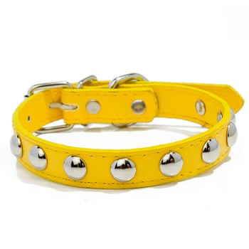 Gomba alakú, narancssárga fűzőlyukakkal kirakott műbőr kisállatnyakörvek közvetlen gyári értékesítése, sokoldalúak és több színben kaphatók, pórázzal ellátott kutyanyakörvek, nagykereskedelemben kaphatók.