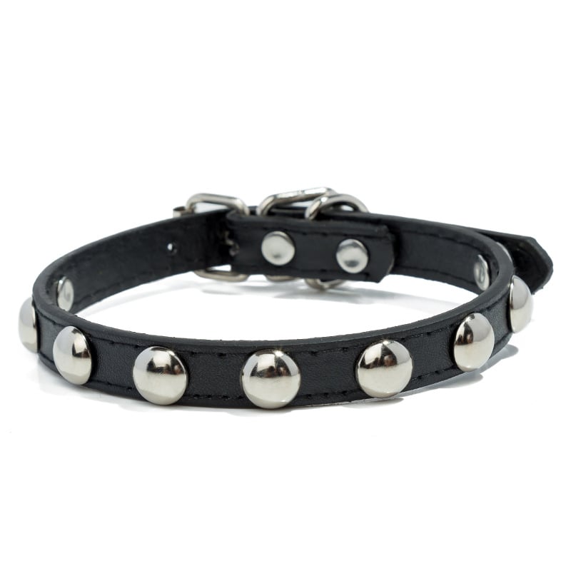 Gomba alakú, narancssárga fűzőlyukakkal kirakott műbőr kisállatnyakörvek közvetlen gyári értékesítése, sokoldalúak és több színben kaphatók, pórázzal ellátott kutyanyakörvek, nagykereskedelemben kaphatók.