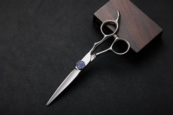 Σετ ψαλιδιών κομμωτηρίου, ψαλίδι αραίωσης από ανοξείδωτο ατσάλι 9CR 6 ιντσών, εργαλεία κουρέματος αφτιών, ψαλίδι styling μαλλιών