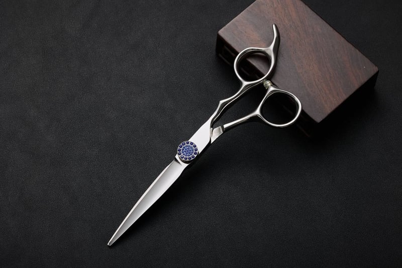 Σετ ψαλιδιών κομμωτηρίου, ψαλίδι αραίωσης από ανοξείδωτο ατσάλι 9CR 6 ιντσών, εργαλεία κουρέματος αφτιών, ψαλίδι styling μαλλιών