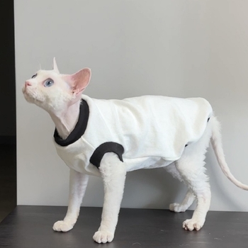 Devon szfinx kisállatruhák, fekete-fehér bordázott alap színblokkolással, Abby leopárdmacska, Hachiman, egyszerű kétlábú jelmez