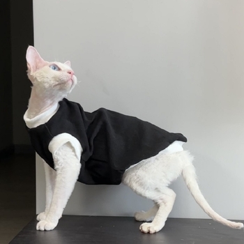 Devon szfinx kisállatruhák, fekete-fehér bordázott alap színblokkolással, Abby leopárdmacska, Hachiman, egyszerű kétlábú jelmez