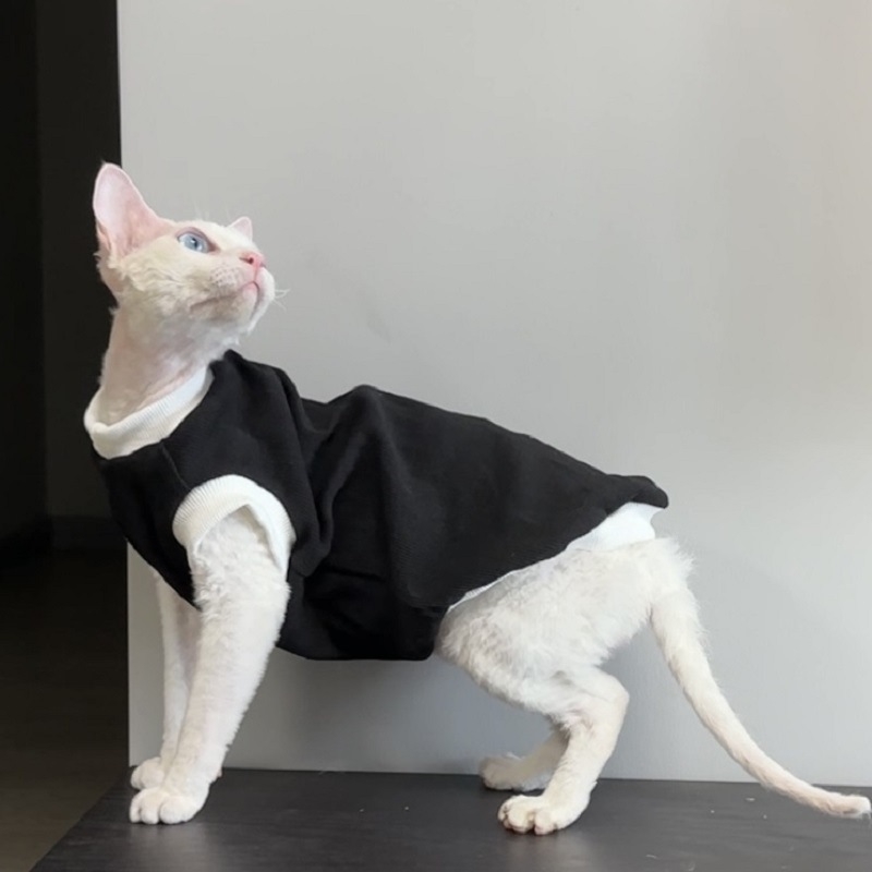 Devon szfinx kisállatruhák, fekete-fehér bordázott alap színblokkolással, Abby leopárdmacska, Hachiman, egyszerű kétlábú jelmez