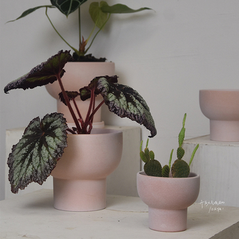 Virágcserép kerámiából, asztali használatra, otthoni kertészkedéshez