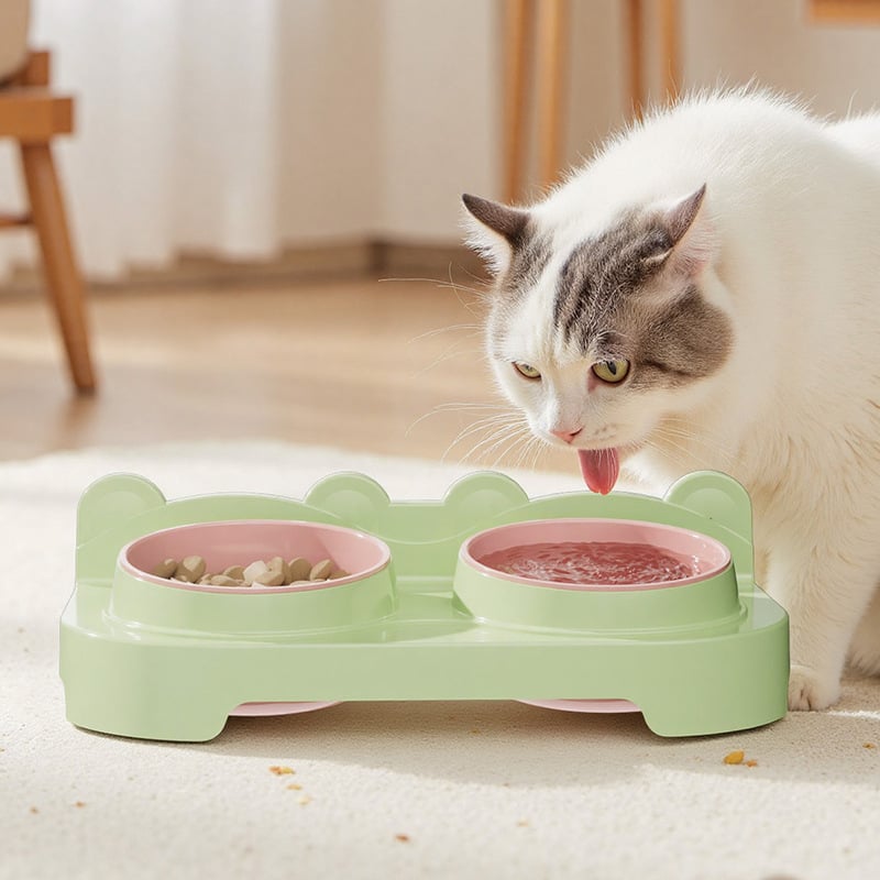 Plastična dvostruka zdjela za mačke, zdjela za hranu i vodu s nagnutim rubom, dizajn protiv prosipanja