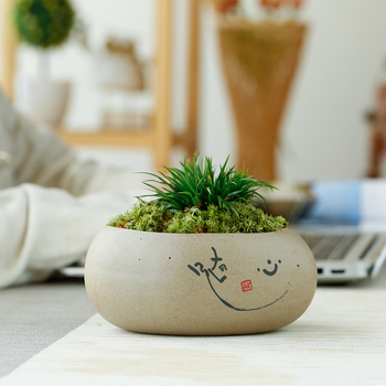 Retro kerámia virágtartó succulensekhez és money planthez, asztali hidroponikus dekoráció