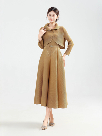 Plisēta rudens–ziemas sieviešu kleita komplekts, poliesters, A-līnijas svārki, apaļš kakls, garās piedurknes, elegantais ikdienas stils