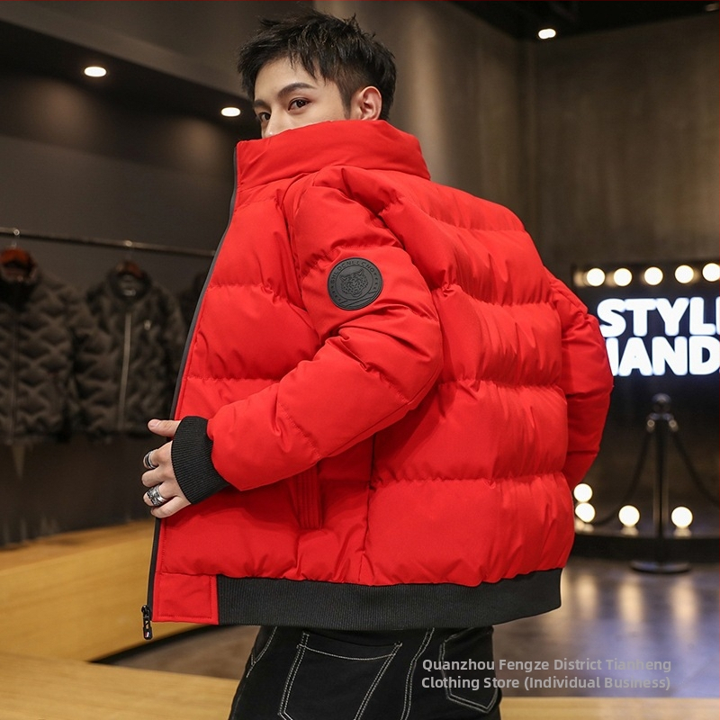 Vyrų žieminė striukė su medvilnine įdara, stora izoliacija, užtrauktukas, stovimas apykaklė, poliesterio išorė, poliesterio pamušalas