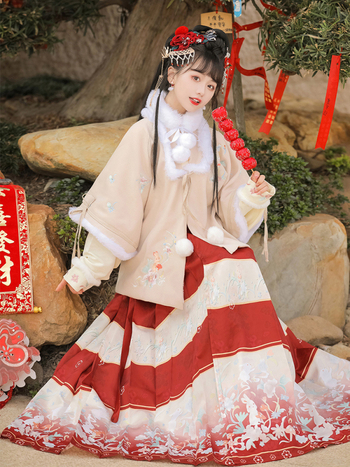 Hanfu za žene, Ming stil, suknja s konjskim licem, stojeći ovratnik, rukavi Pipa, pamuk brađena odjeća