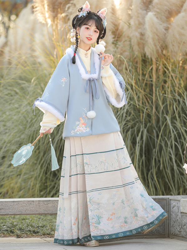 Hanfu za žene, Ming stil, suknja s konjskim licem, stojeći ovratnik, rukavi Pipa, pamuk brađena odjeća