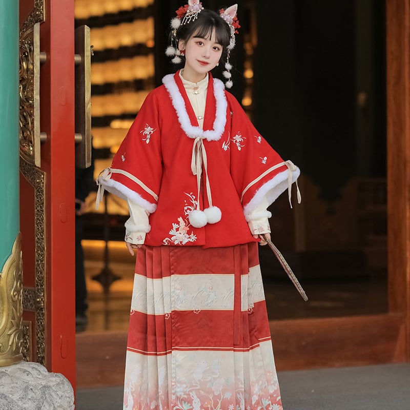 Hanfu za žene, Ming stil, suknja s konjskim licem, stojeći ovratnik, rukavi Pipa, pamuk brađena odjeća