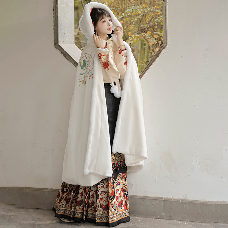 Ženski Hanfu s lavljim motivima, Ming stil preklopni ovratnik, rukavi Pipa, Mamian suknja i zimski plašt