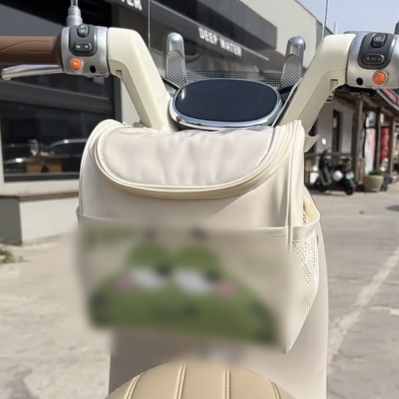 Prednja viseća torba za električna vozila – vodootporna, kožna, pretinac za punjač (Koža; Vodootporna; Prednja viseća konstrukcija; Pretinac za punjač)