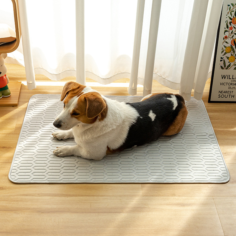 Ψύξη για σκύλους – υφασμάτινη επιφάνεια, μάρκα Multi-Valley, προέλευση Τζιάνγκσου, για σκύλους