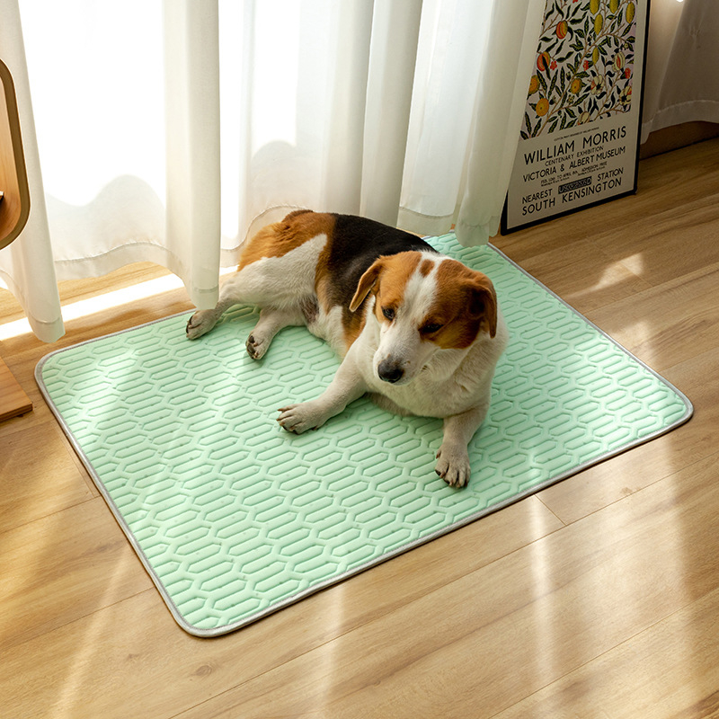 Ψύξη για σκύλους – υφασμάτινη επιφάνεια, μάρκα Multi-Valley, προέλευση Τζιάνγκσου, για σκύλους