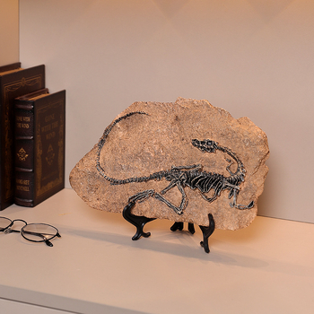 Скулптура от смола динозавър фосил – Тиранозавър Рекс, модерен арт декор, готов за подарък за рожден ден или завършване