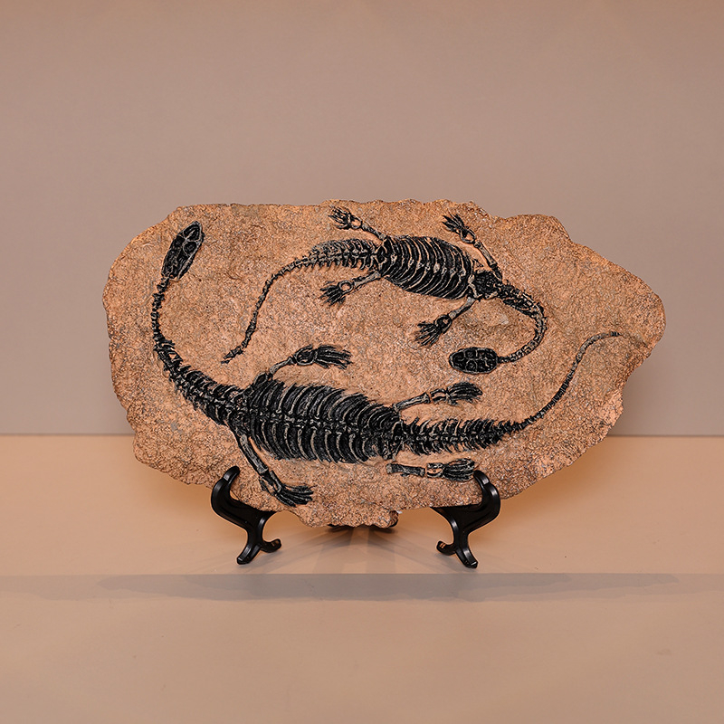 Скулптура от смола динозавър фосил – Тиранозавър Рекс, модерен арт декор, готов за подарък за рожден ден или завършване