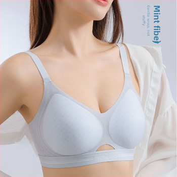 9322 be siūlių, ultra plona push-up liemenėlė, 3/4 taurė, vidutinio formos kaušelis, fiksuoti dvigubi petnešos, keturi užsegimai nugaros dalyje, medvilniniai kaušeliai