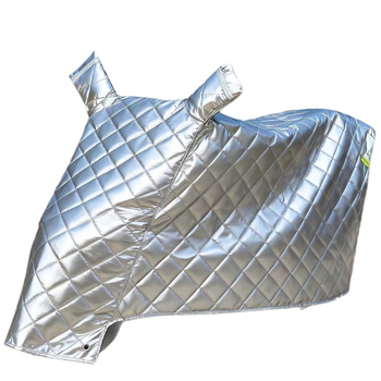 Automobiļa pārsegs lietainam un saulainam laikam — vienkāršs dizains — aizsardzība pret lietu un sniegu