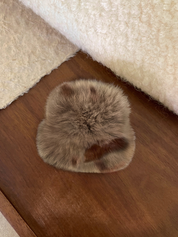 Plišana štipaljka za kosu s dizajnom medvjeđih ušiju, Gripper, unisex, jesen 2025