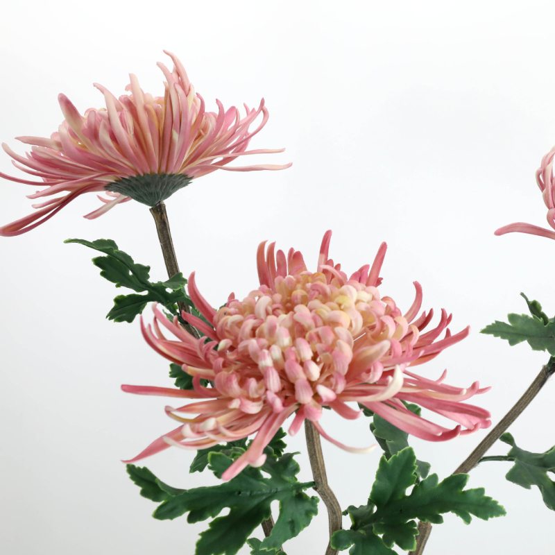 Umjetni krizantema cvijet – mekani ljepilo materijal; tehnike: stiliziranje, flokiranje, reljefna tekstura; sorta: Daisy (Marka: Urban Scenery; Materijal: Meko ljepilo; Tehnike: Stiliziranje, Flokiranje, Reljef; Sorta: Daisy)