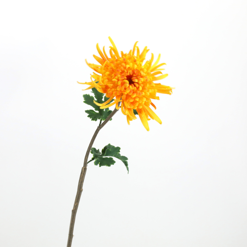 Umjetni krizantema cvijet – mekani ljepilo materijal; tehnike: stiliziranje, flokiranje, reljefna tekstura; sorta: Daisy (Marka: Urban Scenery; Materijal: Meko ljepilo; Tehnike: Stiliziranje, Flokiranje, Reljef; Sorta: Daisy)