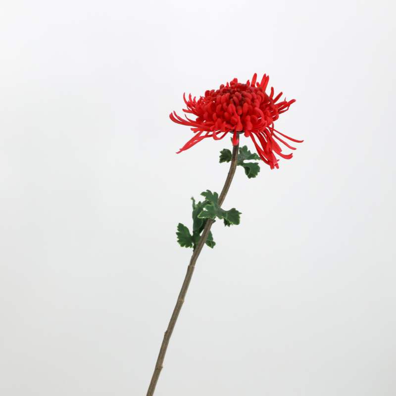 Umjetni krizantema cvijet – mekani ljepilo materijal; tehnike: stiliziranje, flokiranje, reljefna tekstura; sorta: Daisy (Marka: Urban Scenery; Materijal: Meko ljepilo; Tehnike: Stiliziranje, Flokiranje, Reljef; Sorta: Daisy)