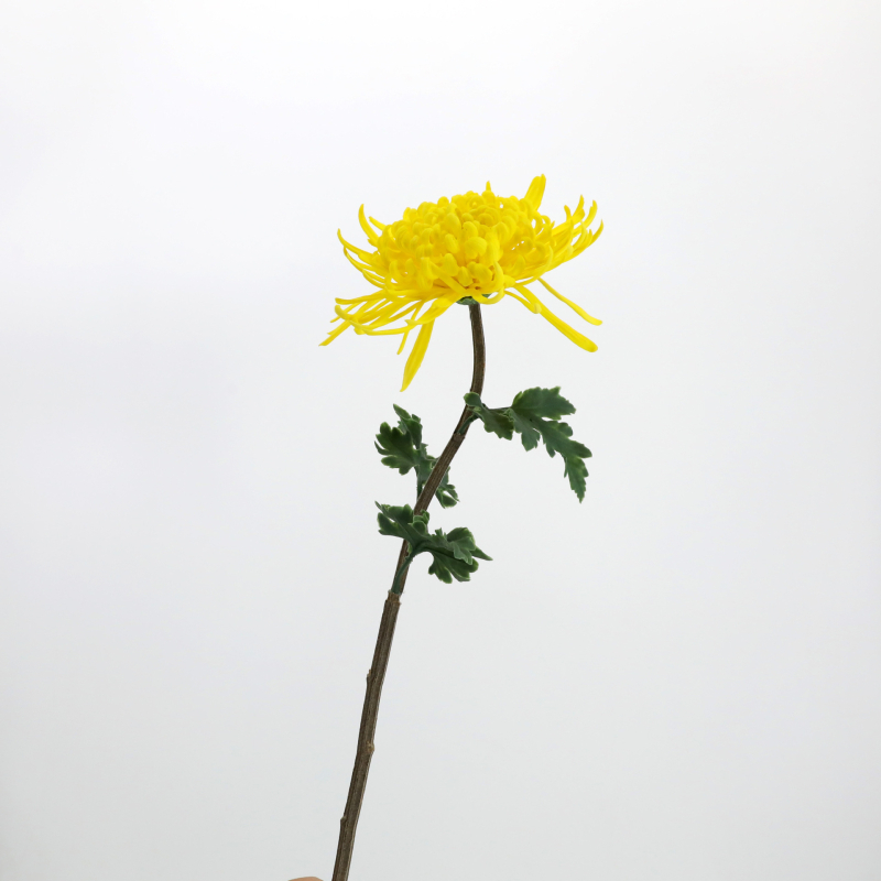 Umjetni krizantema cvijet – mekani ljepilo materijal; tehnike: stiliziranje, flokiranje, reljefna tekstura; sorta: Daisy (Marka: Urban Scenery; Materijal: Meko ljepilo; Tehnike: Stiliziranje, Flokiranje, Reljef; Sorta: Daisy)