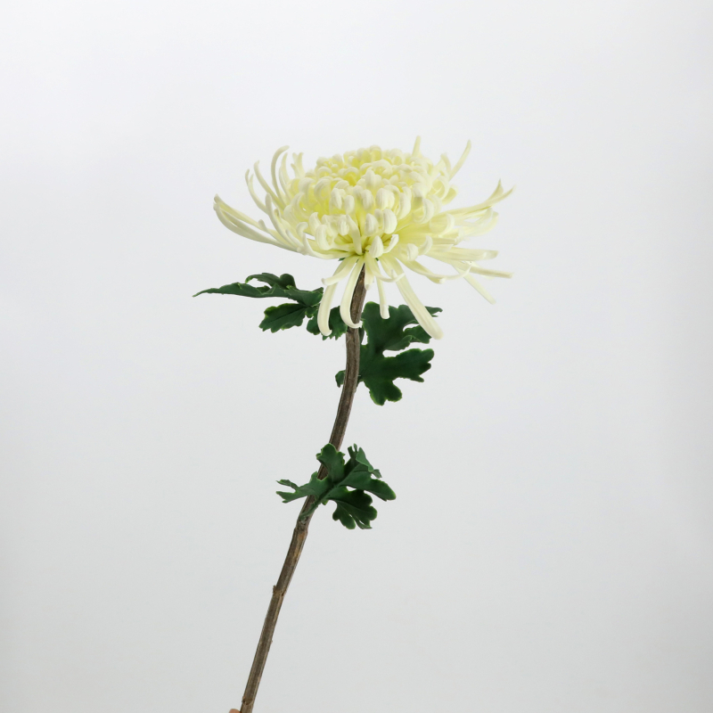 Umjetni krizantema cvijet – mekani ljepilo materijal; tehnike: stiliziranje, flokiranje, reljefna tekstura; sorta: Daisy (Marka: Urban Scenery; Materijal: Meko ljepilo; Tehnike: Stiliziranje, Flokiranje, Reljef; Sorta: Daisy)