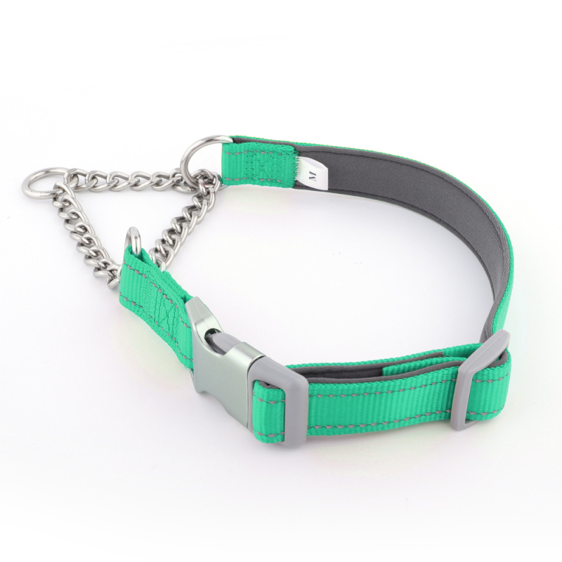 Half-P lanac ogrlica i povodac za Border Collie, najlon, ležerni stil, anti-šok i anti-burst dizajn