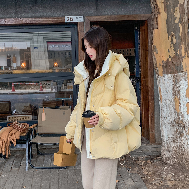 Дамско корейски стил памучно подплънено яке, ултра къс модел, принцес ръкави, поло яка, цип, Chenille плат, пълнител: изкуствен памук-коприн