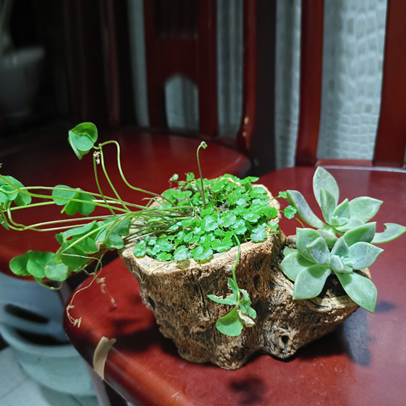 Fa mintázatú beton virágcserép fa imitációval, retro pásztor stilus, gyártva fordított formával (Típus: virágcserép; Anyag: beton; Stílus: retro pásztor; Gyártási mód: fordított forma)