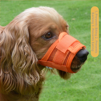Μανσέλα για σκύλους από νάιλον, αντι-δάγκωμα και αντι-γάβγισμα, επιτρέπει το πόσιμο νερό, συσκευασία 280 τεμάχια