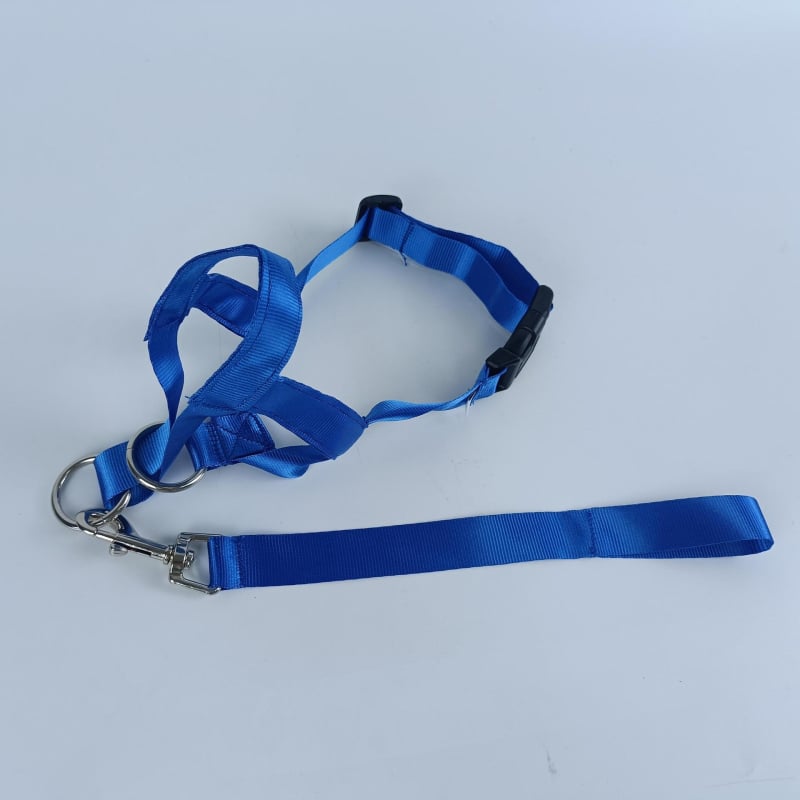 Μάσκα σκύλου από νάιλον; συσκευασία 50 τεμαχίων; αδειοδοτημένη ιδιωτική μάρκα Cool and cute.